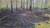 Wald- u. Flächenbrand